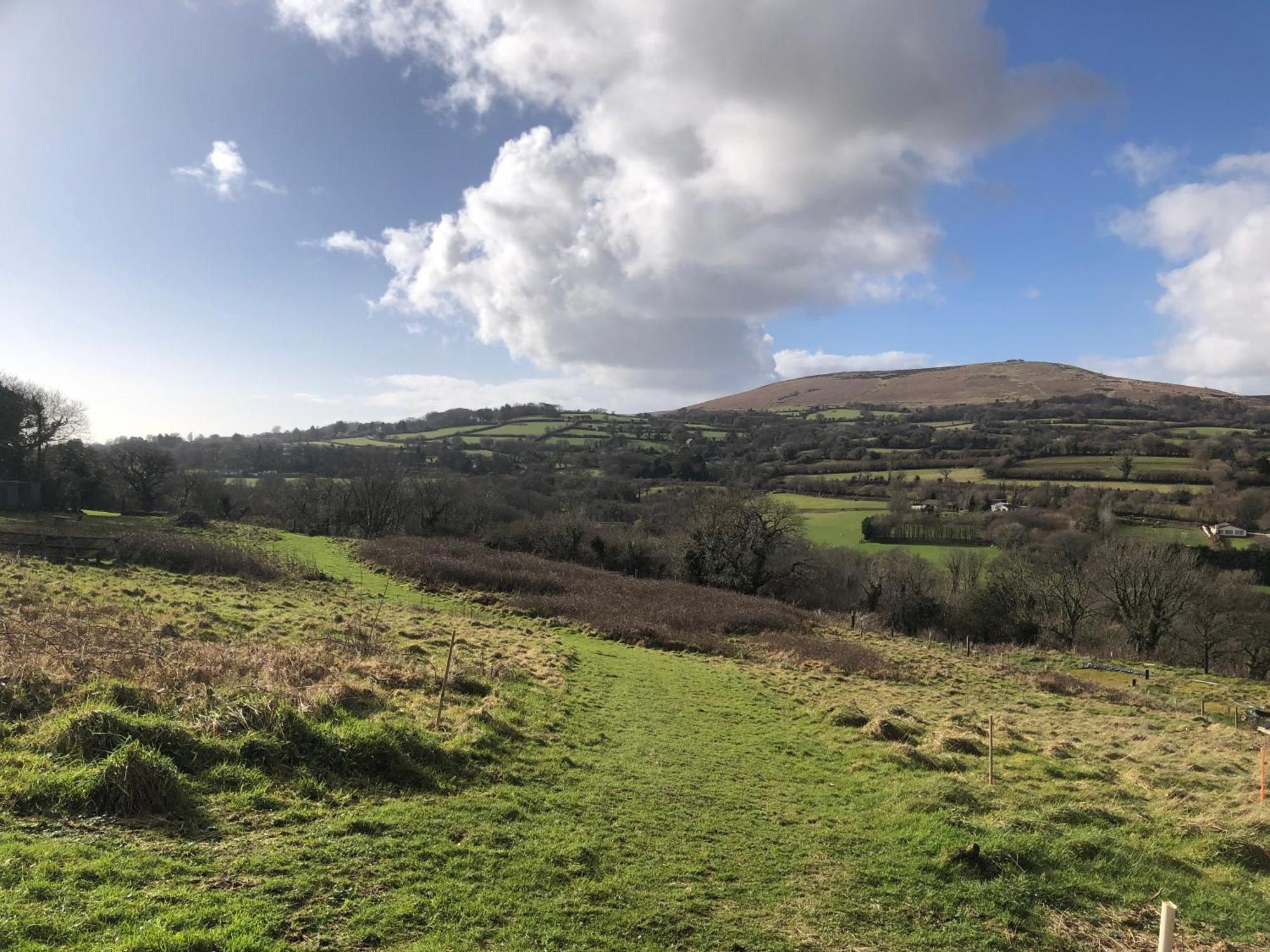 Stags View,unique Eco Cabin, Dartmoor Views South Brent